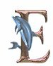 Delphin 4 alphabete