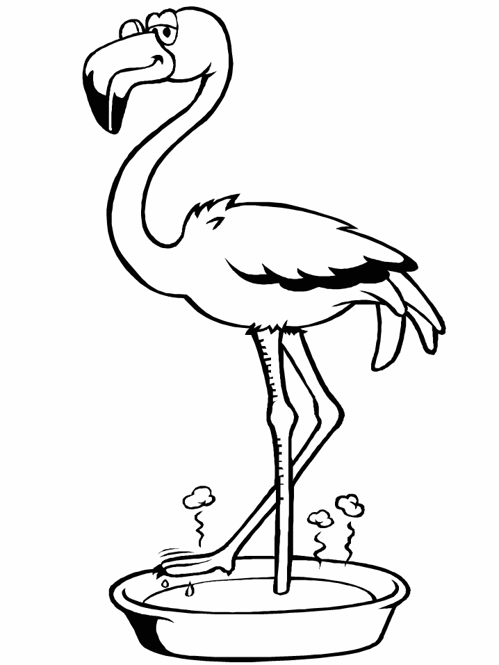 Flamingo ausmalbilder
