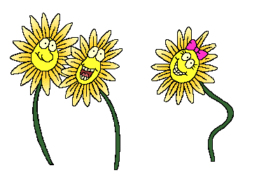 Sonnenblume bilder