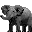 Elefant mini bilder