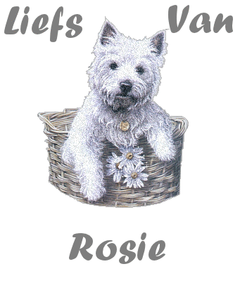 Rosie namen bilder