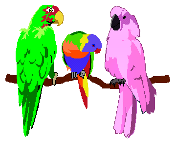 Papagei tiere bilder