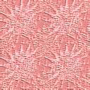 Rosa wallpapers